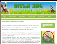 Tablet Screenshot of divljizec.com